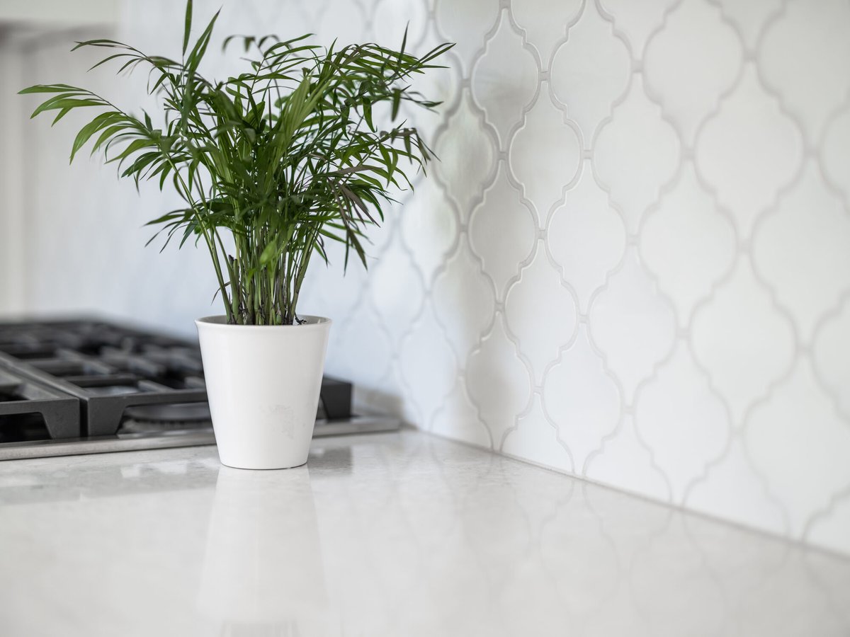 kitchen-counter-with-potted-plant-and-arabesque-tile-omaha-ne-optimized