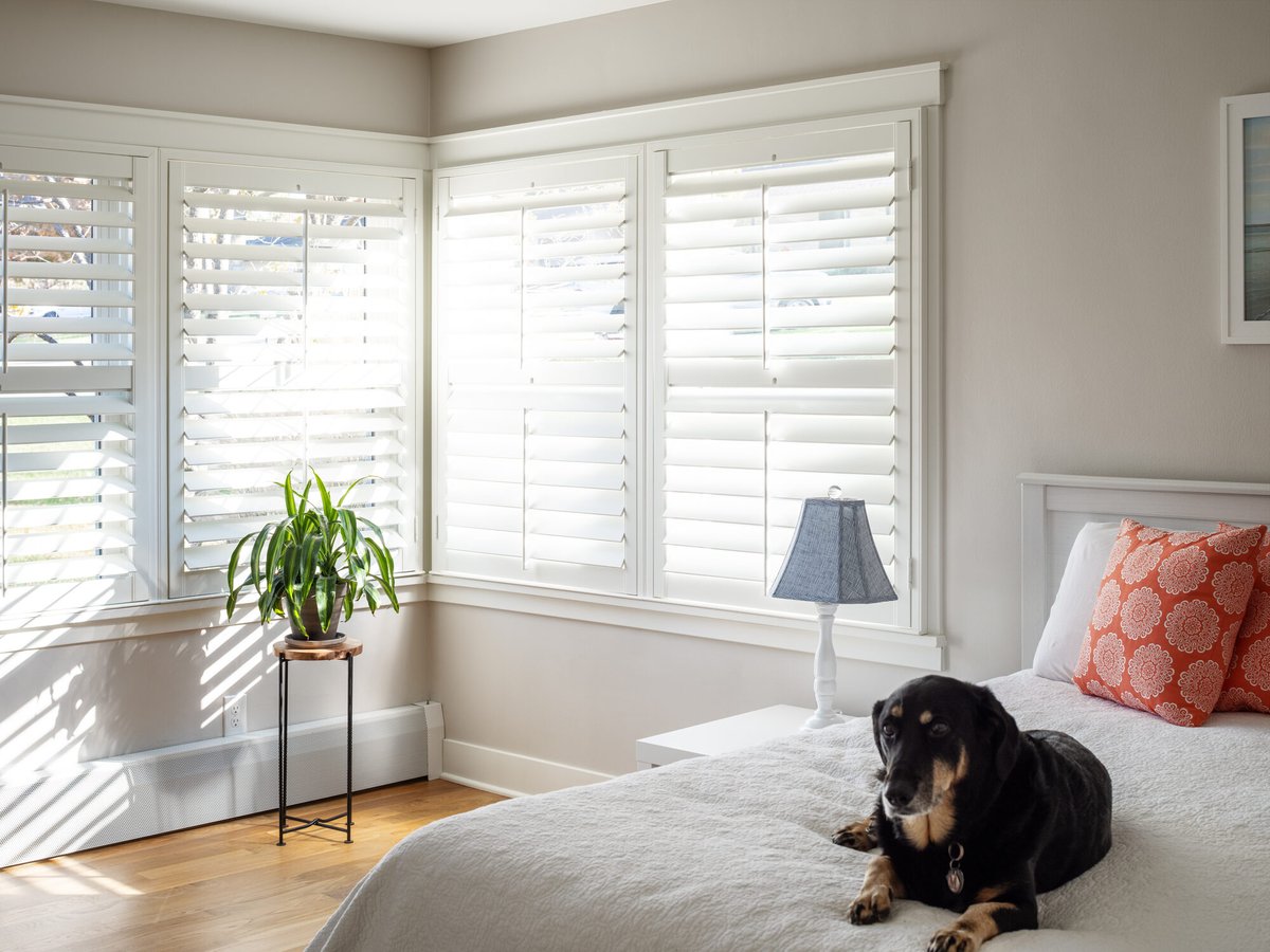 primary-bedroom-with-plantation-shutters-and-dog-on-bed-omaha-ne-optimized