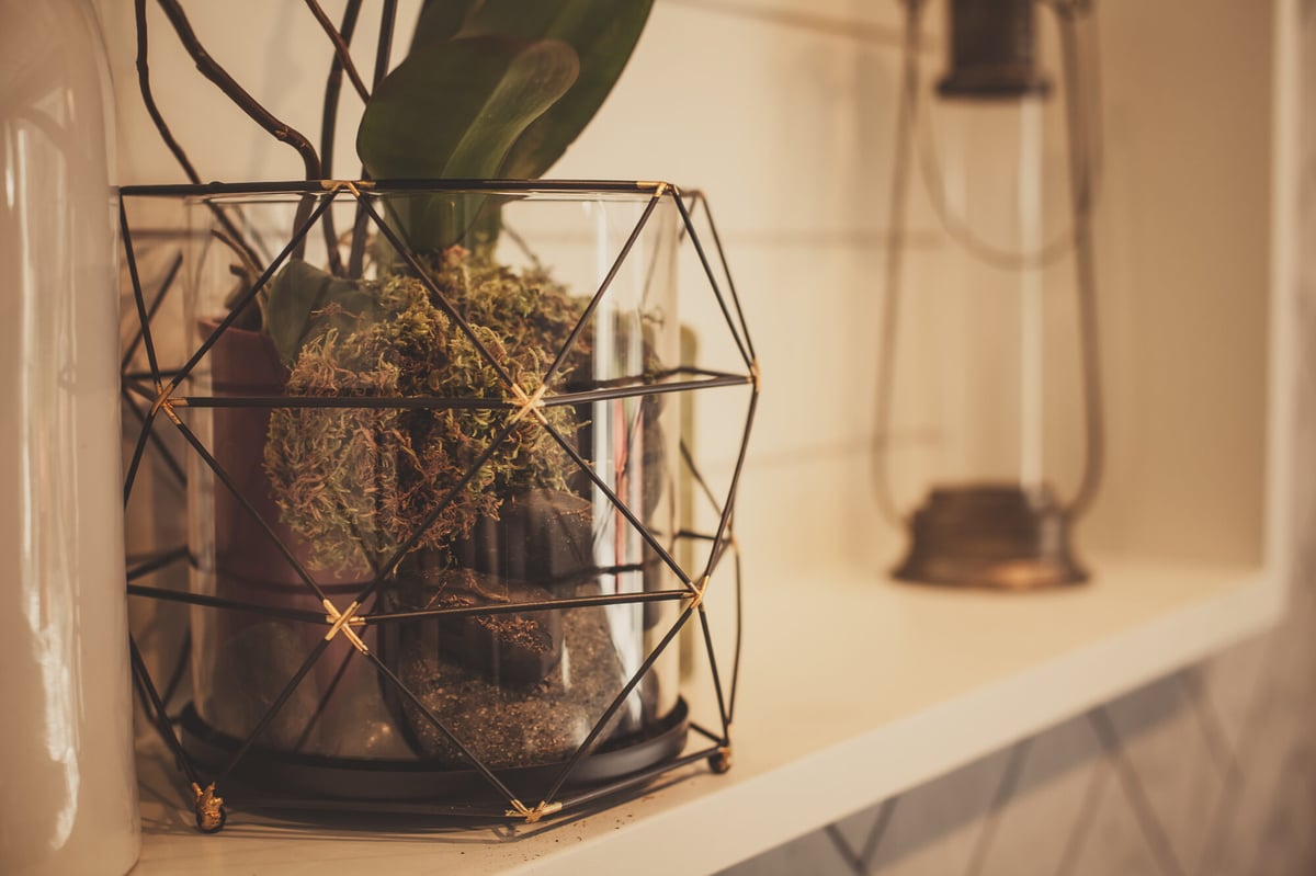 glass-terrarium-with-lanterns-on-shelf-omaha-ne-optimized